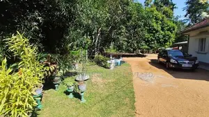 191P Valuable Land with Beautiful House – Thummodara