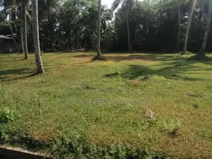 Land For Sale in Udugampola (SSPL-400)