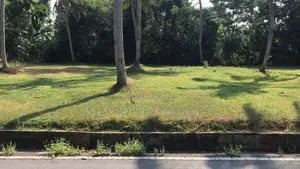 Land For Sale in Udugampola (SSPL-400)