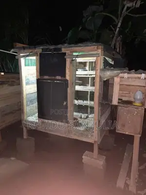 Pigion Cage