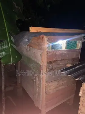 Pigion Cage