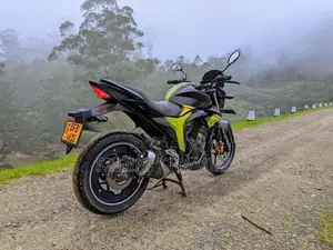 Suzuki Gixxer 2017