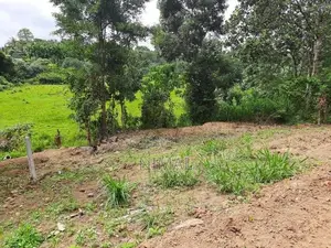 Land for Sale in Godagama, Homagama
