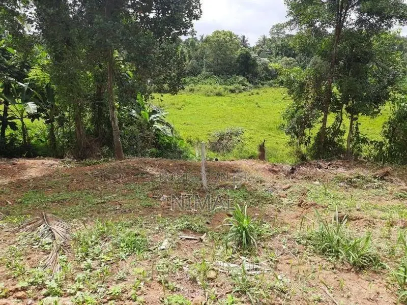 Land for Sale in Godagama, Homagama