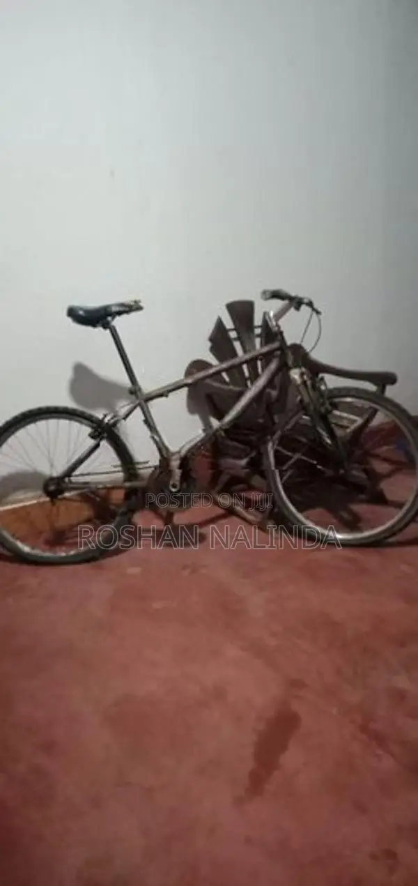 Lumala Bicycle