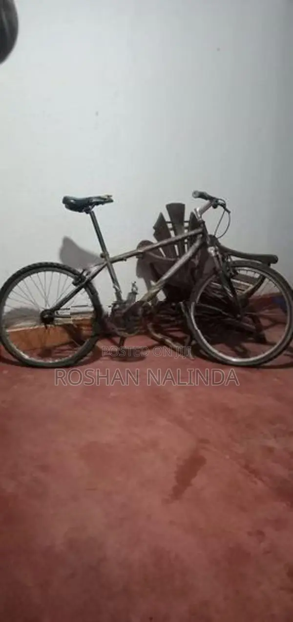 Lumala Bicycle