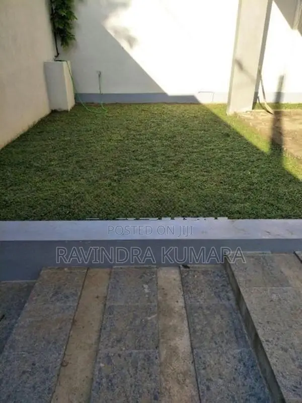 Grass Carpet