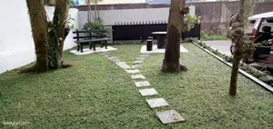 Grass Carpet