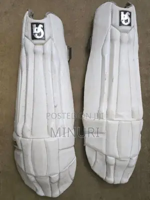 SF Cricket Set