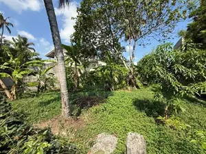 Prime Business Land for Rent in Mulleriyawa – 18 Perches