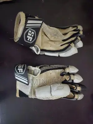 SF Cricket Set