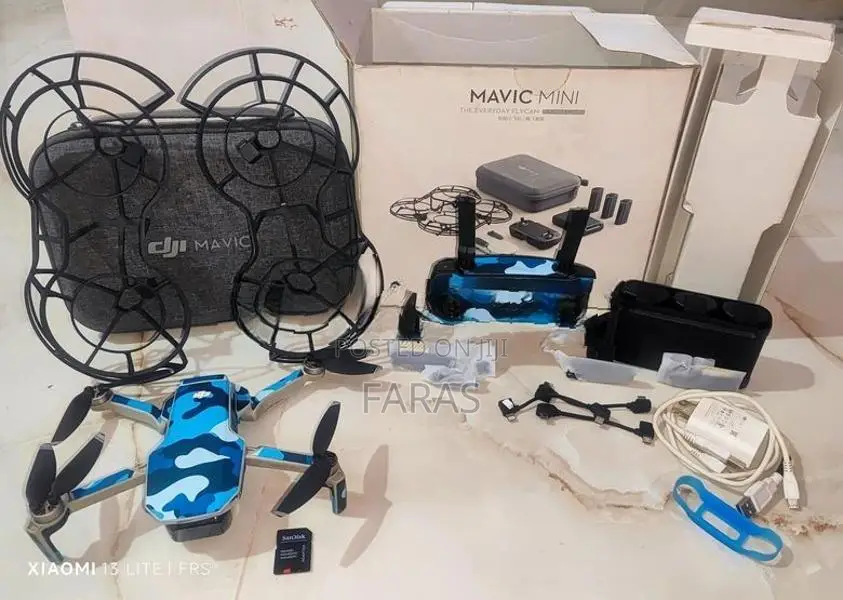 Dji Mavic Mini Drone