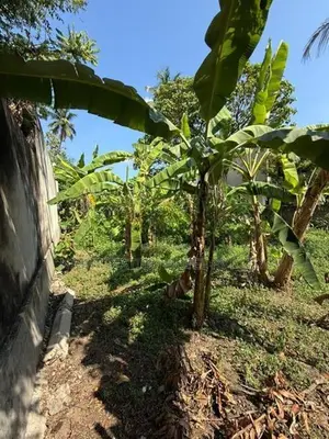 Prime Business Land for Rent in Mulleriyawa – 18 Perches