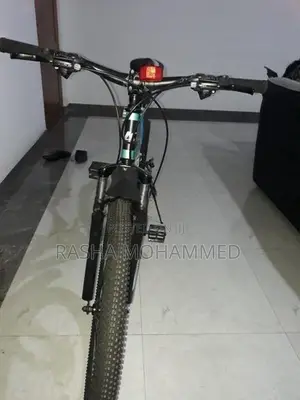 Brand New Kenton Bicycle