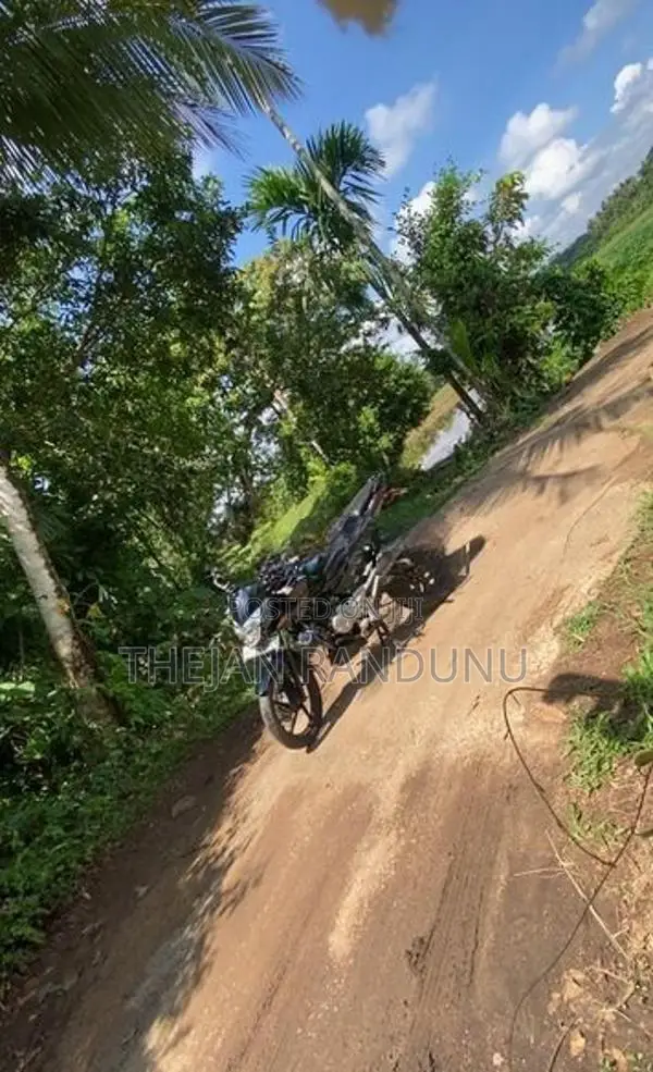 Bajaj Pulsar 135 2015