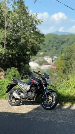 Yamaha FZS V1 2014