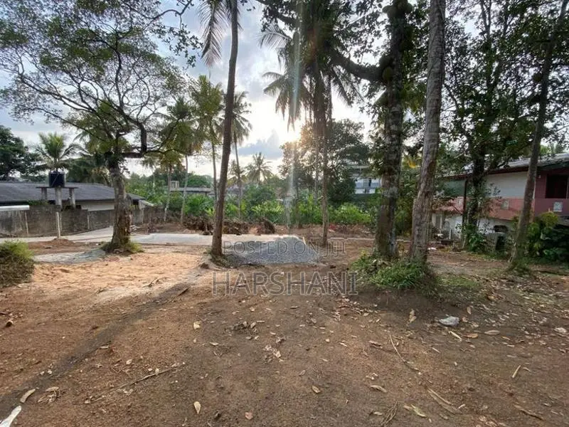 7.5P Superb Land - Pannipitiya