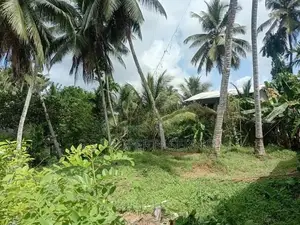 Land For Sale in Padukka (SSPL-292)