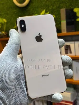 Apple iPhone XS Max 256GB (Used)