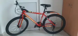Brand New Lumala Mountain Bicycle