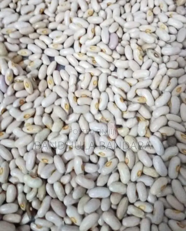 සූදු බොංචි ඇට ජල