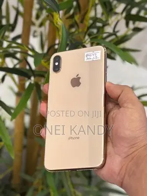 Apple iPhone XS Max 256GB (Used)