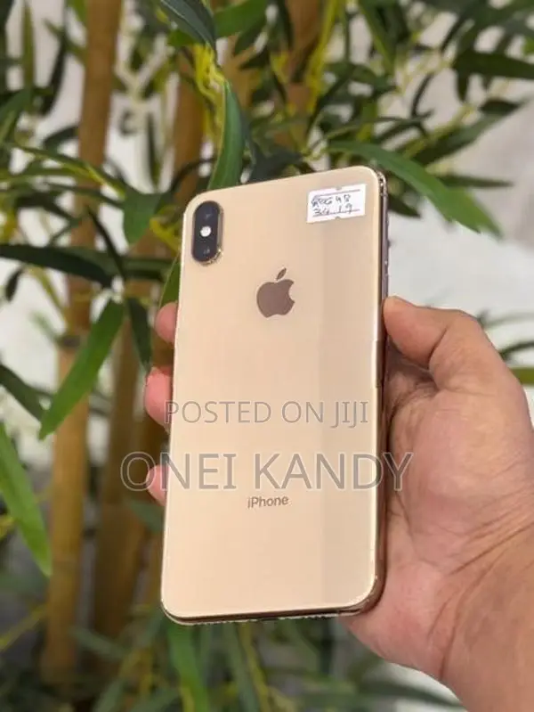 Apple iPhone XS Max 256GB (Used)