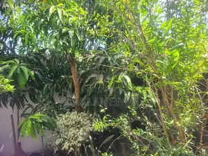 Furnished 2 Storey House Sale in Negombo