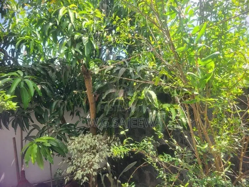Furnished 2 Storey House Sale in Negombo