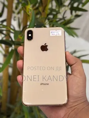 Apple iPhone XS Max 256GB (Used)