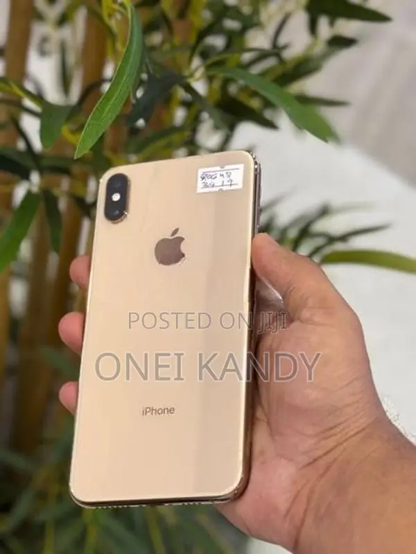 Apple iPhone XS Max 256GB (Used)