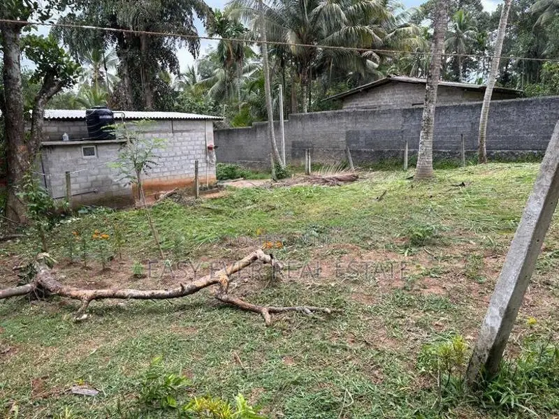 කිරිදිවැලින් වටිනා ඉඩමක් විකිණීමට