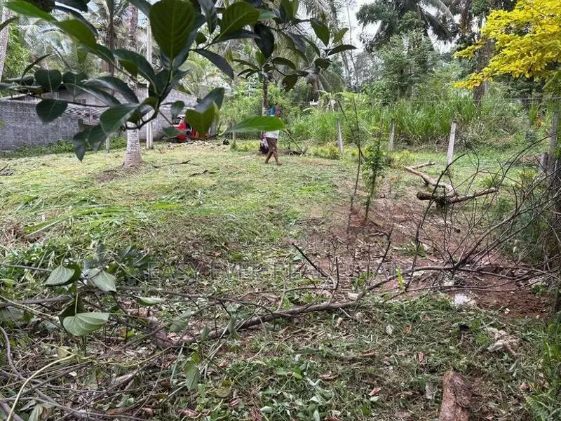 කිරිදිවැලින් වටිනා ඉඩමක් විකිණීමට