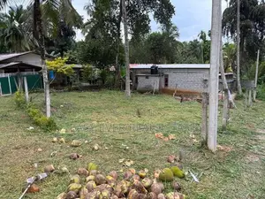 කිරිදිවැලින් වටිනා ඉඩමක් විකිණීමට
