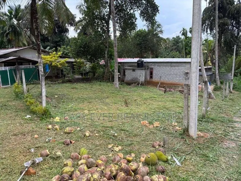 කිරිදිවැලින් වටිනා ඉඩමක් විකිණීමට