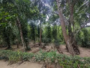 House for Sale in Monaragala, Dambagalla
