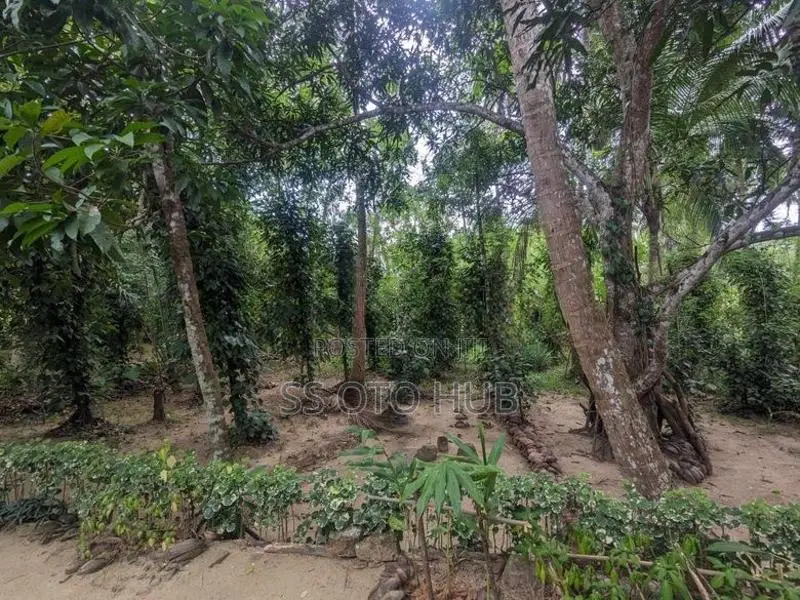 House for Sale in Monaragala, Dambagalla