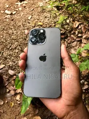 Apple iPhone 14 Pro Max (Used)