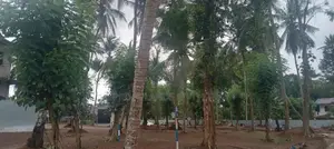 Kadawatha Land for Sale