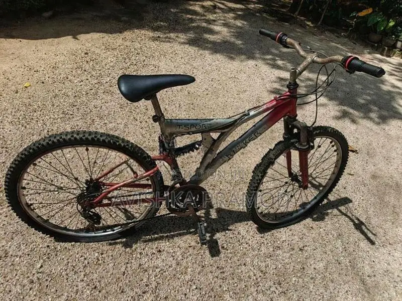 Bicycle