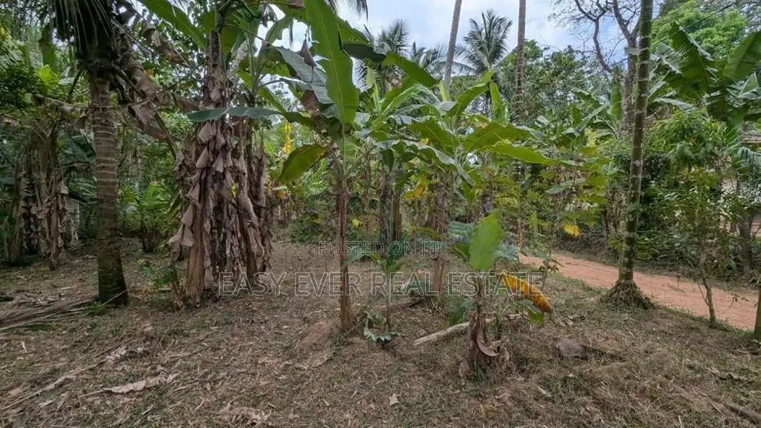 ඌරාපොළ ප්‍රධාන මාර්ගයට මීටර් 100 ක් දුරින් වටිනා ඉඩමක්