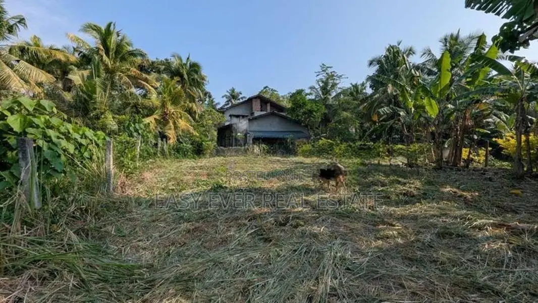 Land for Sale in Veyangoda