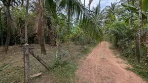 ඌරාපොළ ප්‍රධාන මාර්ගයට මීටර් 100 ක් දුරින් වටිනා ඉඩමක්