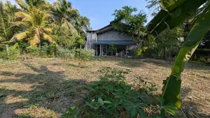 Land for Sale in Veyangoda