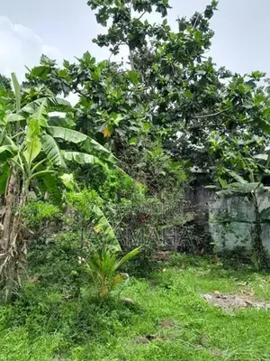 Land for Sale in Kiribathgoda