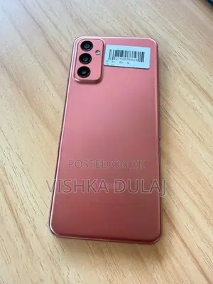 Samsung Buddy (Used)