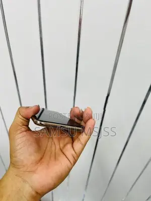 Apple iPhone XS Max (Used)