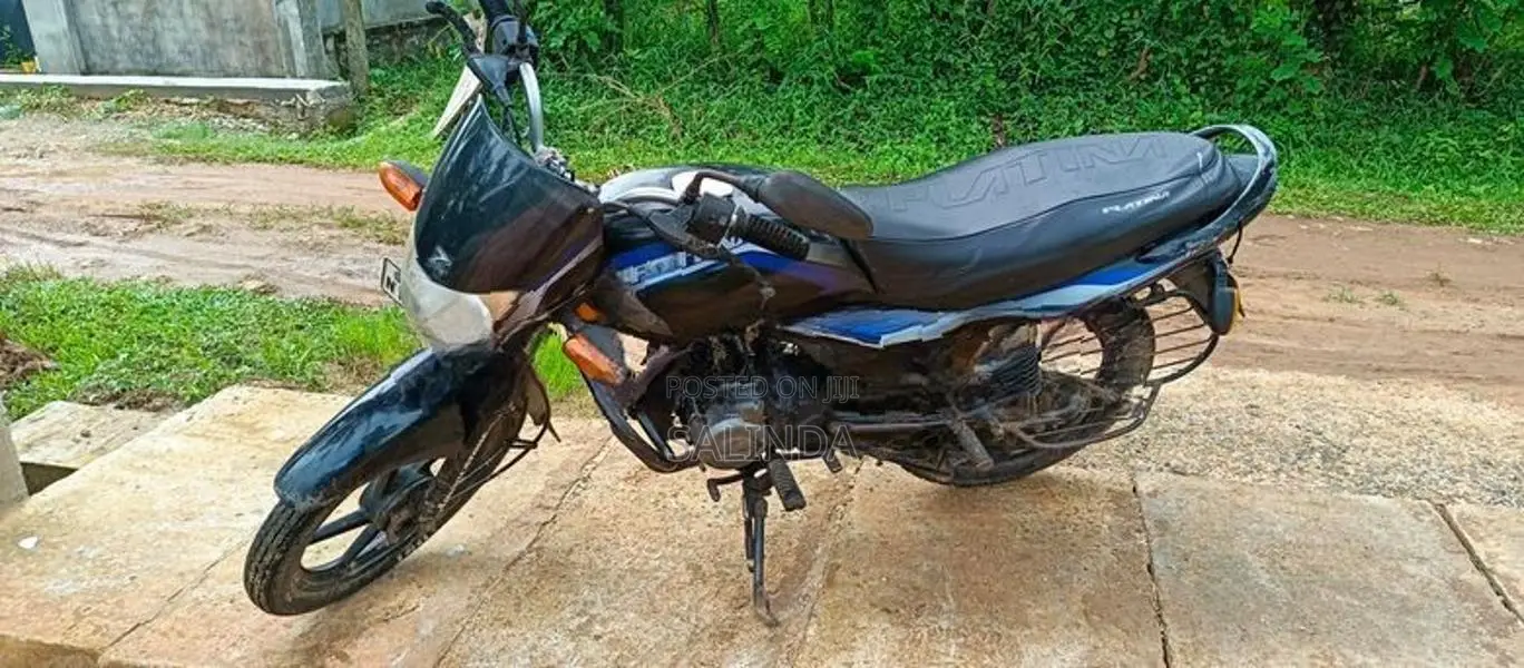 Bajaj Platina 125 2010