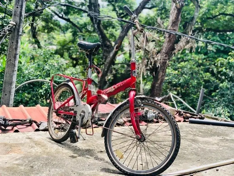 Racing Bicycle