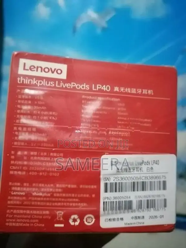 Lenovo LP40 Earbuds